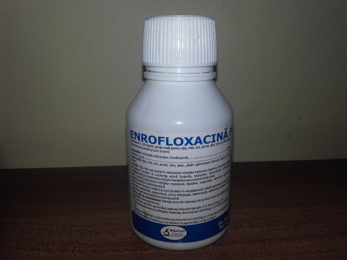 enrofloxacina buvabil