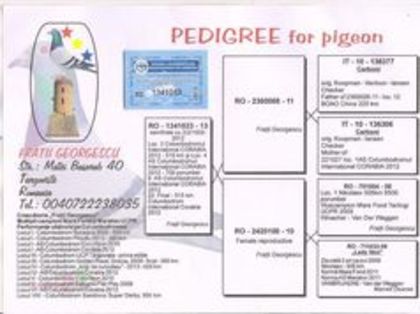 Ro 1341033 M; Pedigree
Loc 4 Finala
