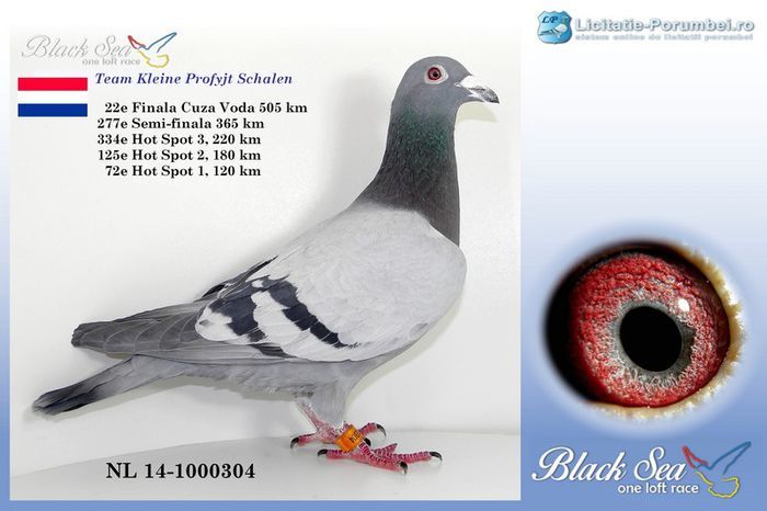NL 1000304-2014 M; Loc 22 Finala Black Sea
