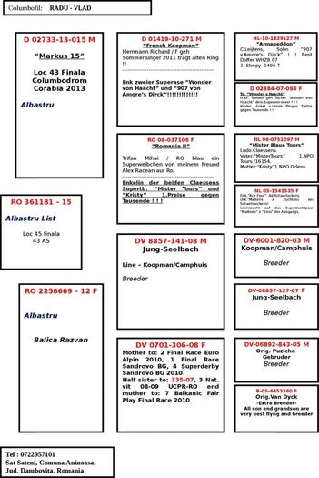 361181-15 pedigree - Perechea 20