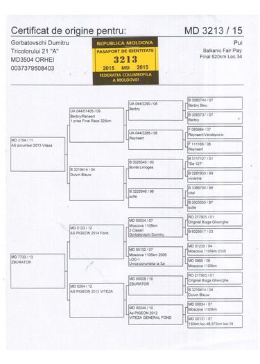 MD 3213-2015 F - Perechea 19