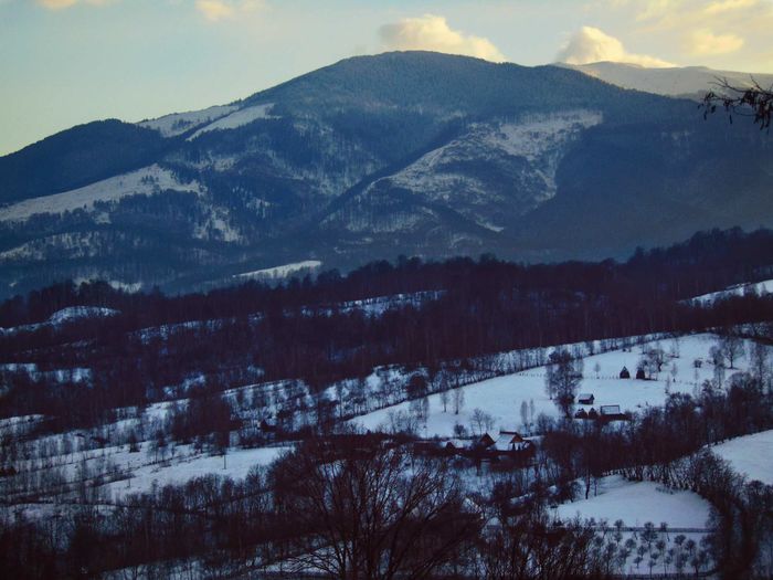 zona Dâlja - Iarna 2016