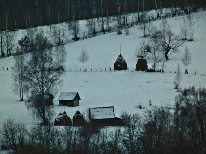 zona Dâlja - Iarna 2016