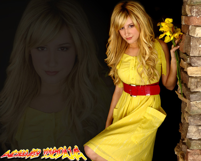 Ashley-Tisdale-disney-channel-528908_1280_1024 - Disney Channel