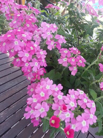 20150828_111358