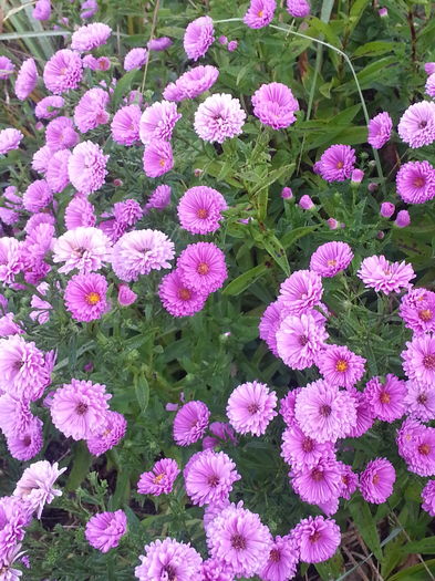 20150918_080947