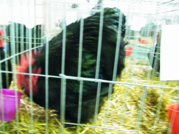 DSCF0055