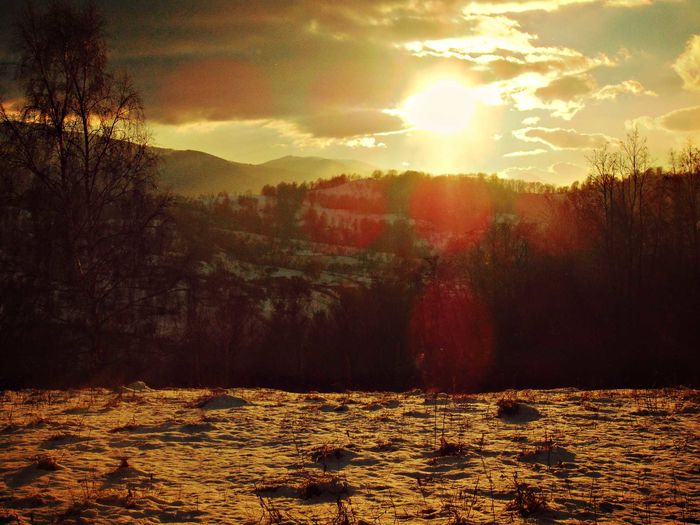 DSC03854 - Iarna 2016