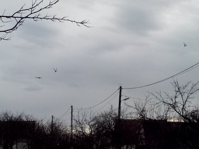 IMG_20160215_120825 - 06________________In zbor