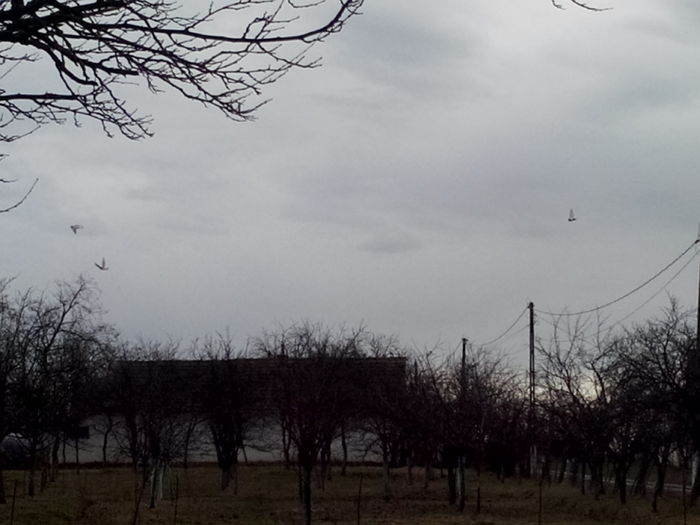 IMG_20160215_120827 - 06________________In zbor