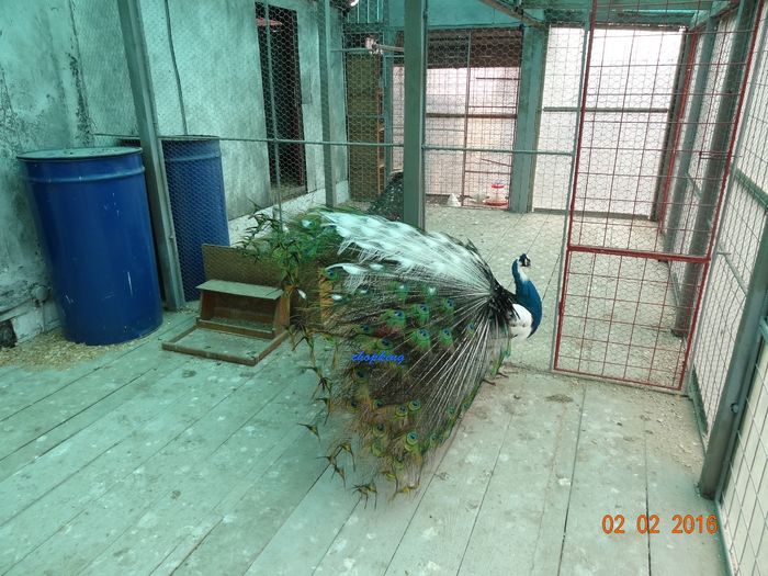 DSC02070