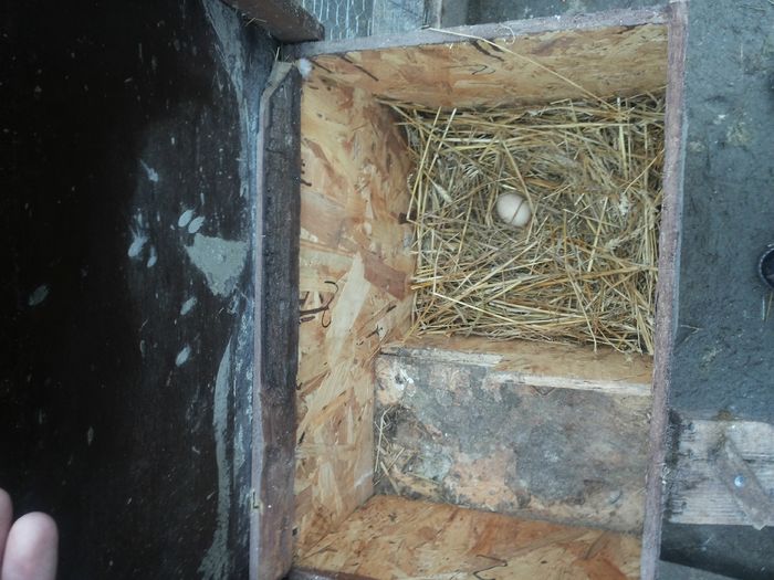 Facut pe 15 imediat dupa ziua indragostitilor  :); Frumos cadou facut de ratusca la ratoi
