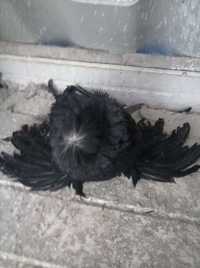 received_966013116755914