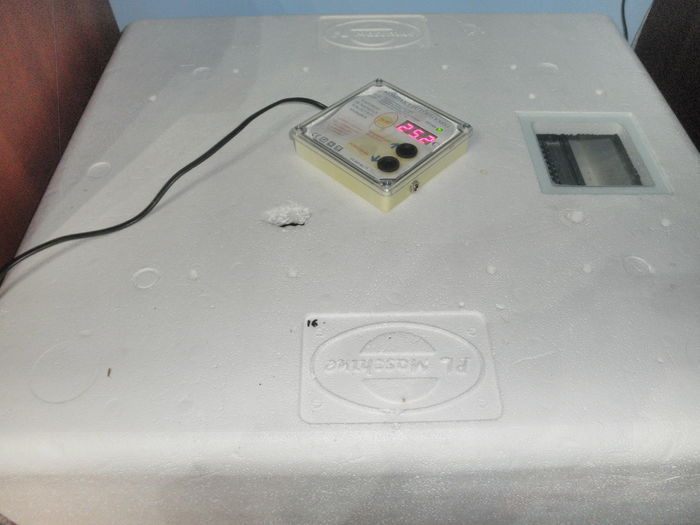 Incubator