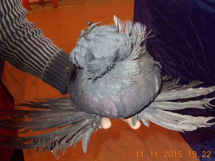 received_241200869545052