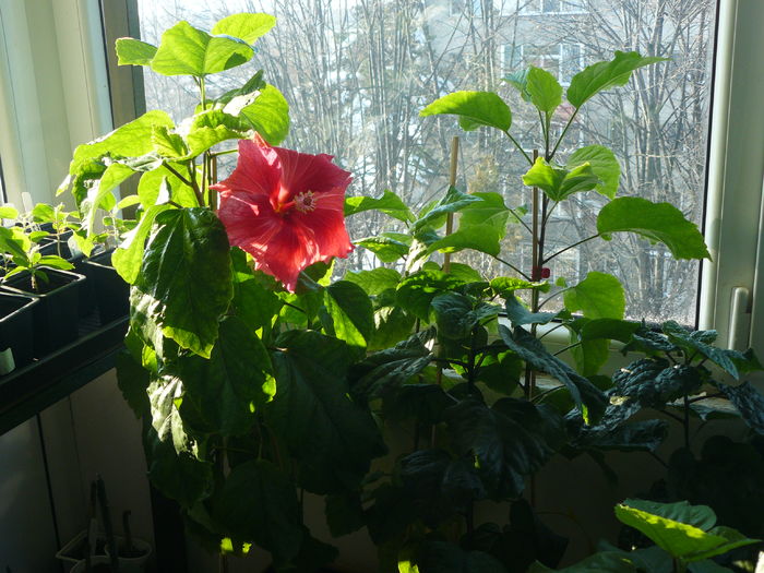 P1050001