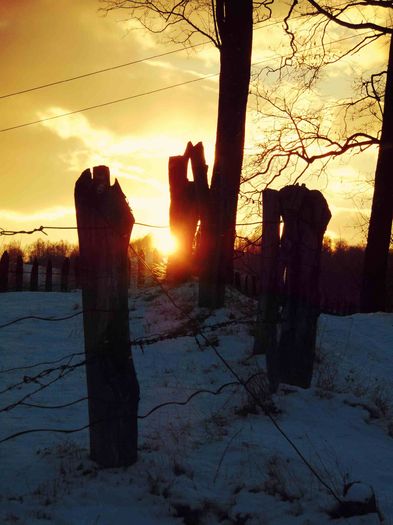 DSC03874 - Iarna 2016