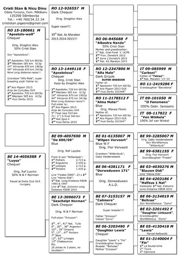 Couple 4; Fiu din loc 1 Apostolove (720 km) din 6819 porumbei, nepot cuplul de baza! Femela este orig. Raf Luyckx, campion al Belgiei si al columbodromului Belgian Masters!

