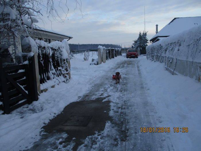 la plimbare - LESY   iubita