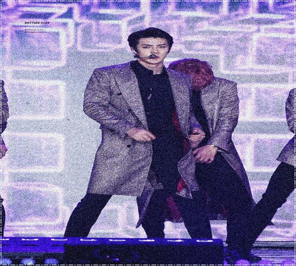 ╳ 185 days l 18.02.2016 ╳