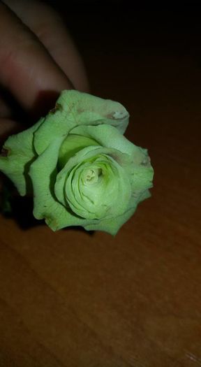 12009815_1076136339093366_5502045070385250153_n