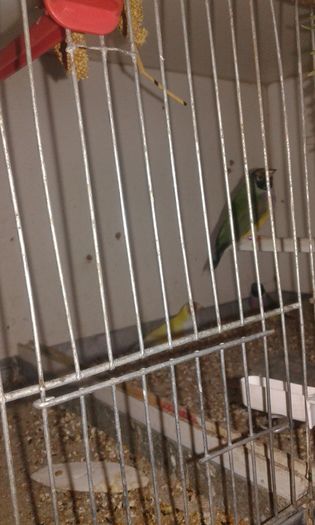 20160219_091309