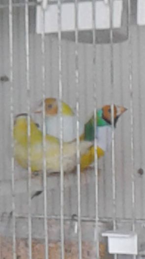 20160219_091158