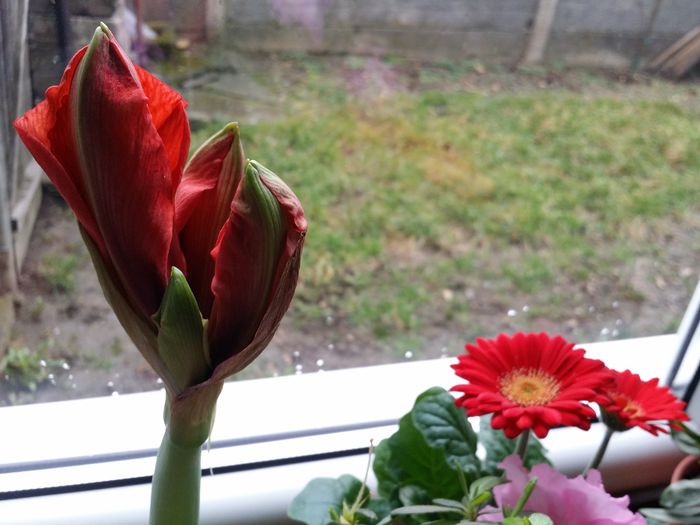 20160219_155856