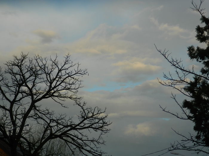DSCN8812