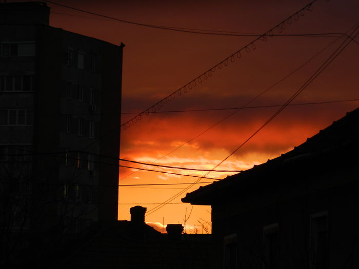DSCN8878