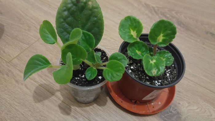 20160125_193432_HDR[1]