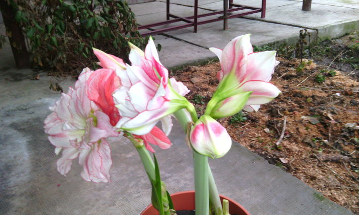 IMG_20160219_171907[1]