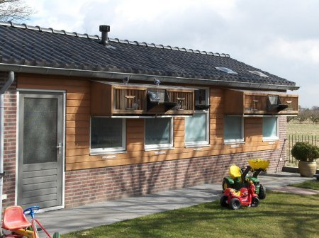 dickgoy7 - MODELE DE CRESCATORII