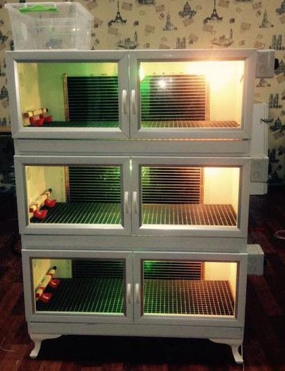 11666289_1655193401377783_4104255941192778038_n