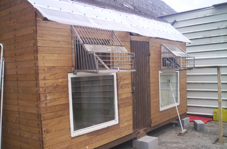 gesch - MODELE DE CRESCATORII