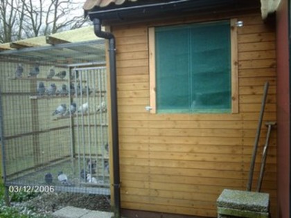 hok1vj1 - MODELE DE CRESCATORII