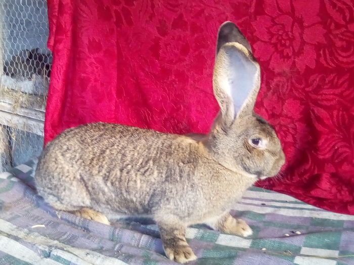 IMG_20160220_150937 - Copy