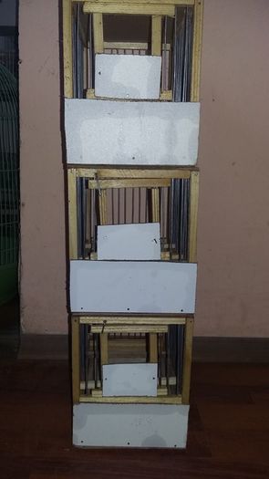 12742779_1122797577764904_4336849289118424898_n