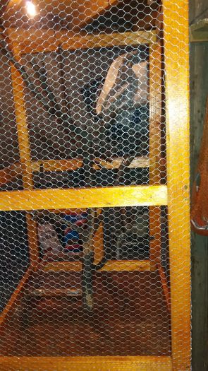 20160220_175523 - sticlete