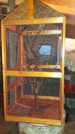 20160220_175505 - sticlete