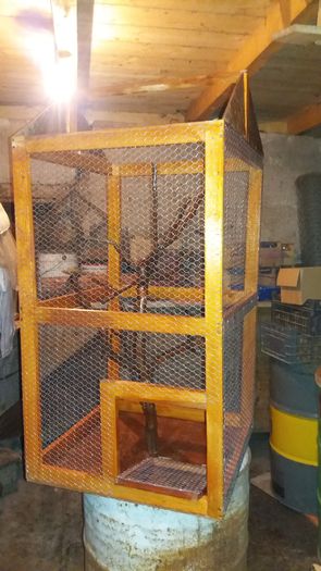 20160220_175450 - sticlete