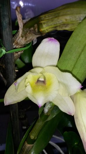 20160220_100355
