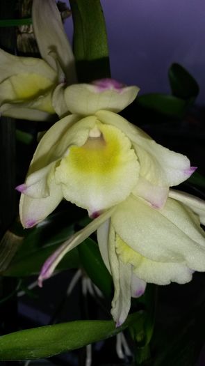 20160220_100410