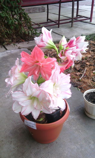 IMG_20160220_142827[1]