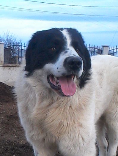 IMG_20160221_162411-1