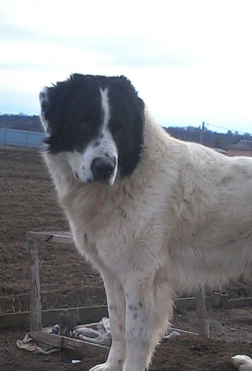 IMG_20160221_162341-1