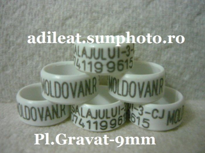 www.adileat.sunphoto.ro