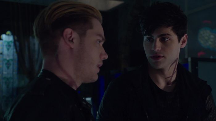 Shadowhunters (17)