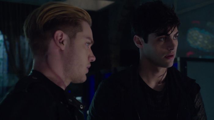 Shadowhunters (18)