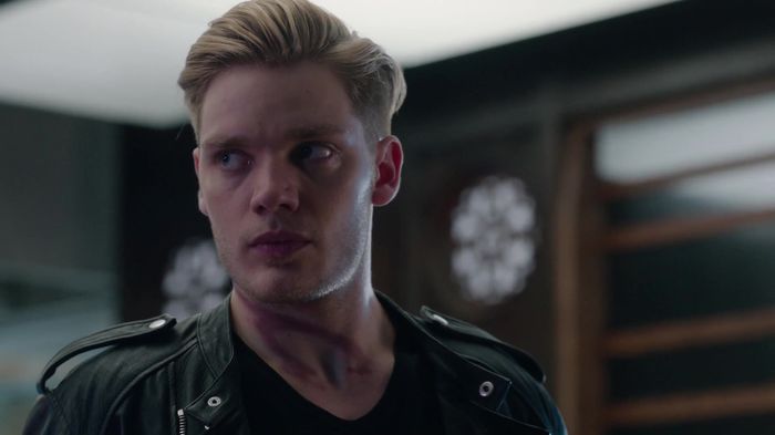 Shadowhunters (36)